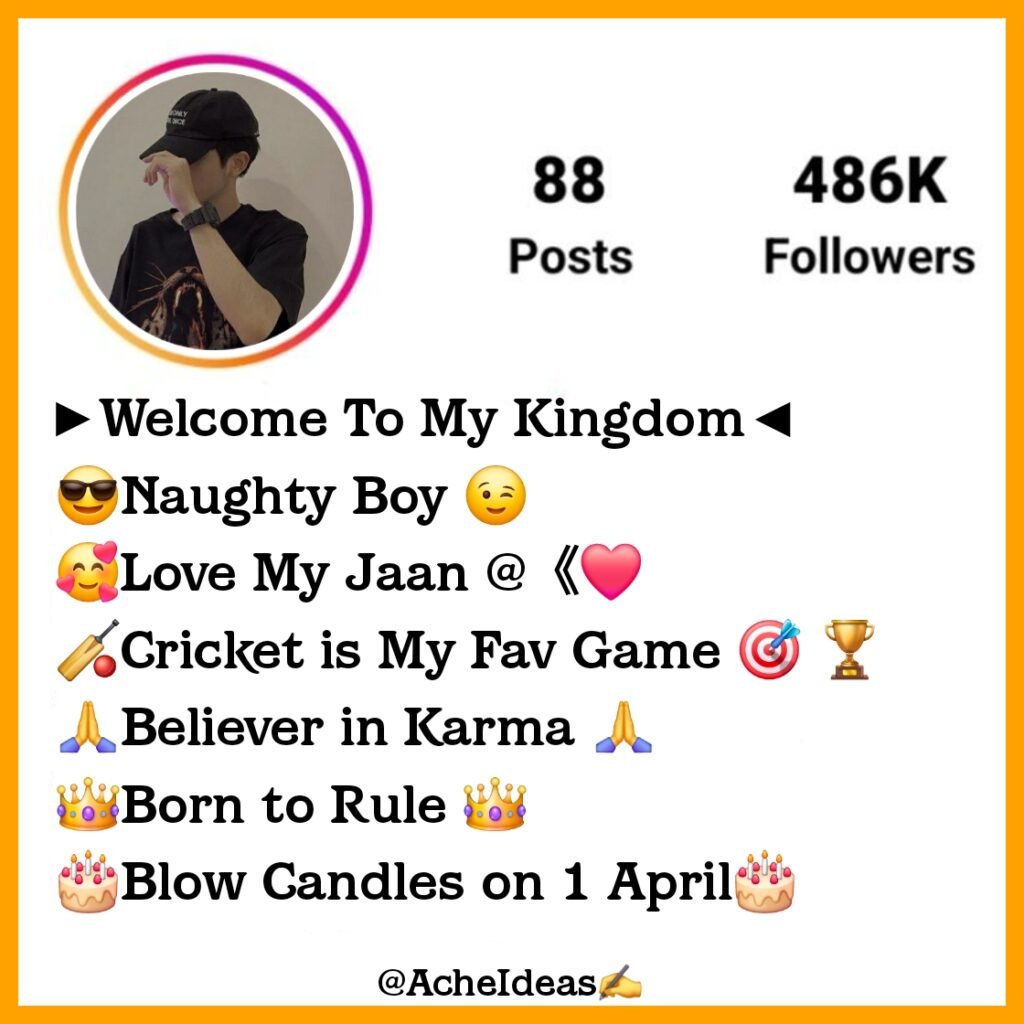 Best Instagram Bio For Boys Attitude - Stylish & VIP Bio