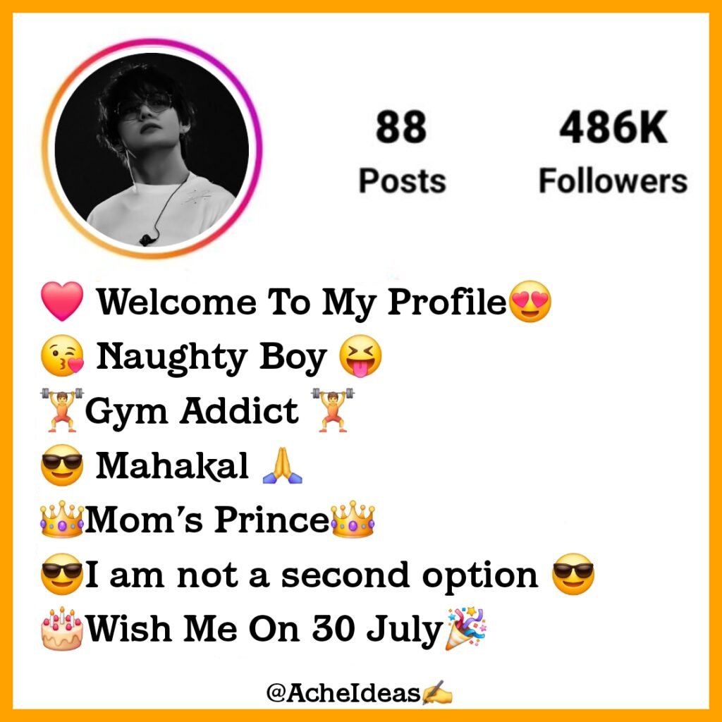 Best Instagram Bio For Boys Attitude - Stylish & VIP Bio