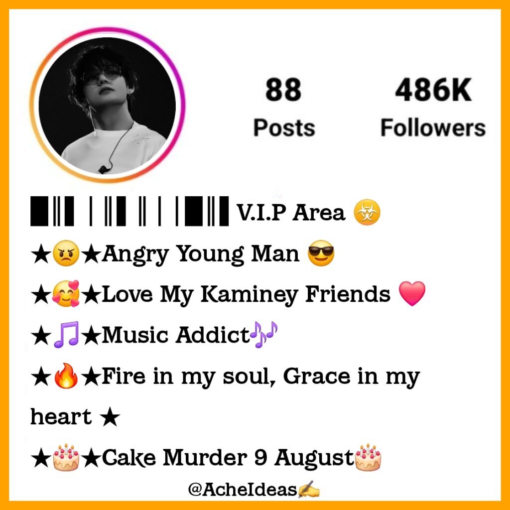 Best Instagram vip Bio For Boys Attitude - Stylish & VIP Bio