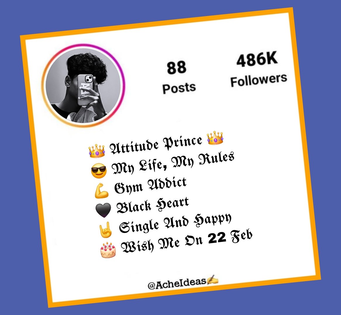 Instagram Bio in Stylish Font | Instagram Vip Bio Stylish Font